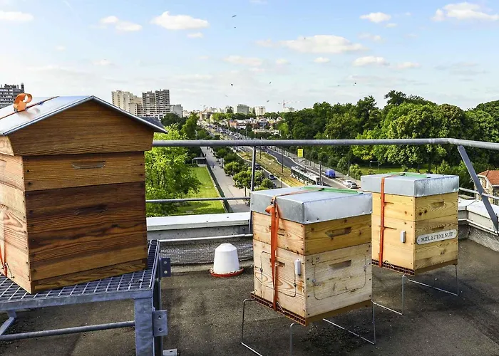 Отель Ibis Orly Tram 7 3*